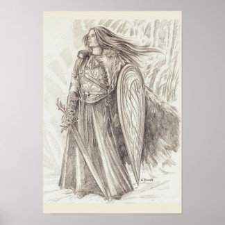 SchildMaiden von Avalon Poster