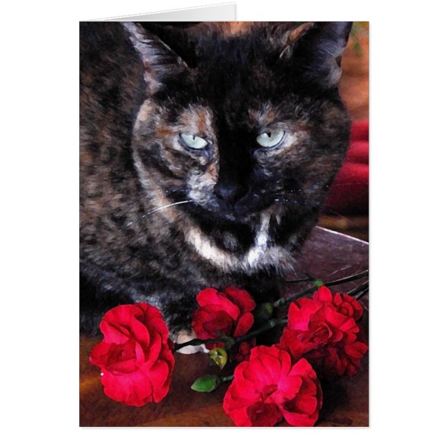 Schildpatt-Katze mit roten Blumen (Vorne)