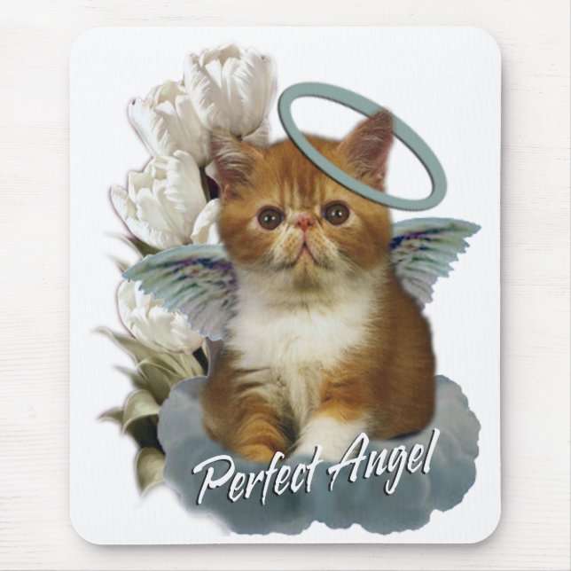 Schildpatt-Perser-Engel Mousepad (Vorne)