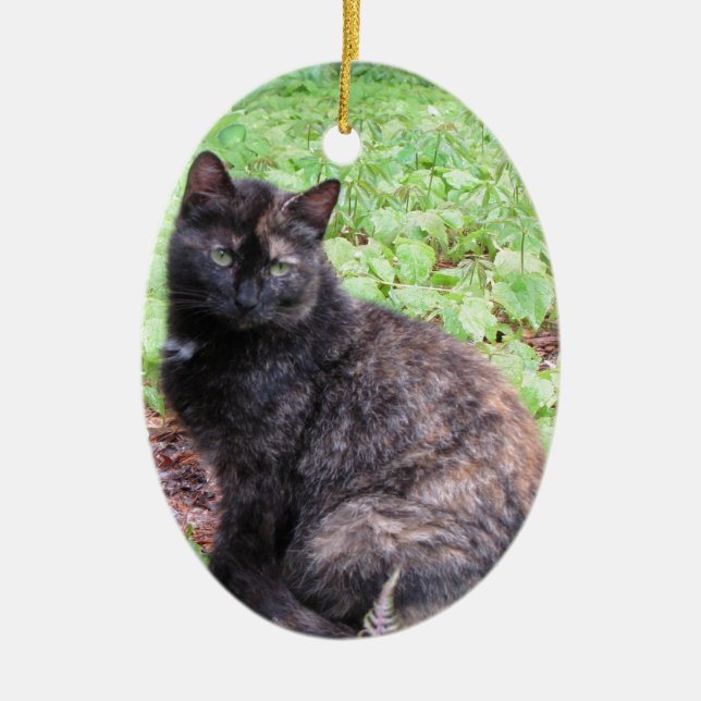 Schildpatt-schwarze Katzen-Garten Keramikornament (Vorne)