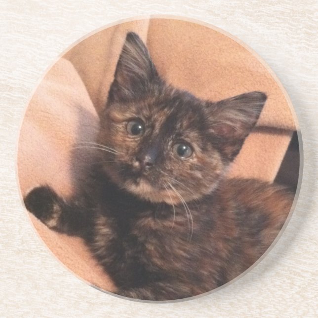 Schildpatt, Tortie, Tortie Kätzchen, Kätzchen, Untersetzer (Vorne)