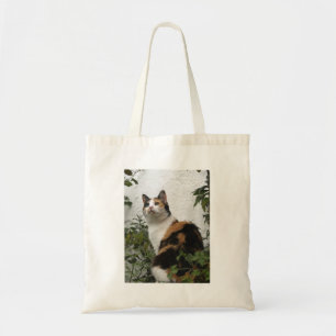 Schildpatt und weiße Katze Tragetasche