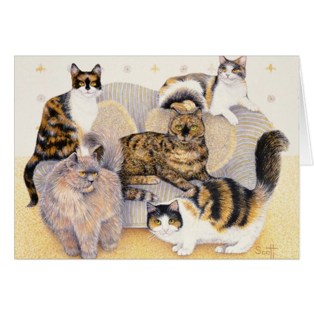 Schildpattdamen (Vorderseite (Horizontal))