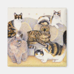 Schildpattdamen Magnet