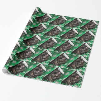 Schildpattkatze Weihnachten Geschenkpapier
