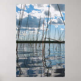Schilf am Rice Lake – Oberhalb der Halbinsel Poster