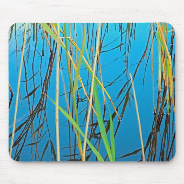 Schilf im See Mousepad (Vorne)