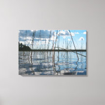 Schilf und Reflexionen am Rice Lake