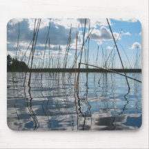 Schilf und Reflexionen am Rice Lake