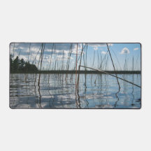 Schilf und Reflexionen am Rice Lake