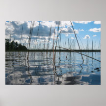 Schilf und Spiegelungen am Rice Lake