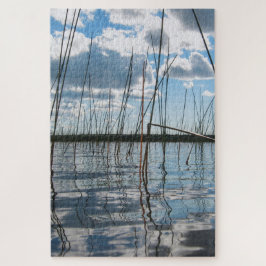 Schilfrohr am Rice Lake – Oberes Halbinselgebiet