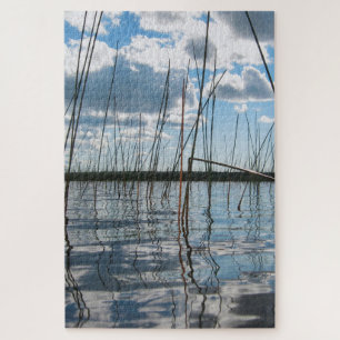 Schilfrohr am Rice Lake – Oberes Halbinselgebiet