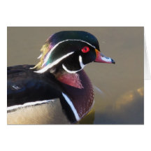 Schillernde hölzerne Ente