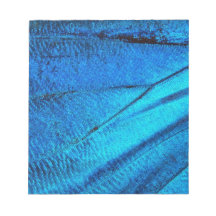 Schillernder blauer Schmetterlingsflügel