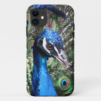Schillernder Pfau Case-Mate iPhone Hülle