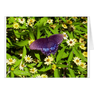 Schillerndes Blau Lila mit schwarzen Schmetterling