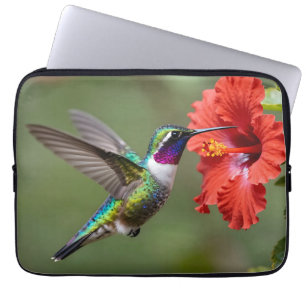 Schillerndes Kolibri-Hibiskus-Blumenporträt Laptopschutzhülle