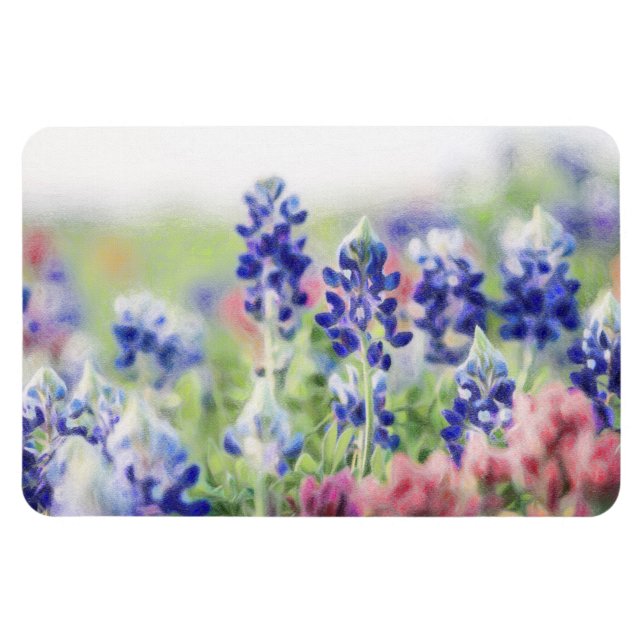 Schimmernde Bluebonnets Magnet (Horizontal)