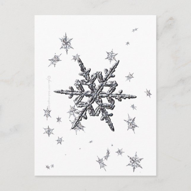 Schimmernde Schneeflocke Postkarte (Vorderseite)