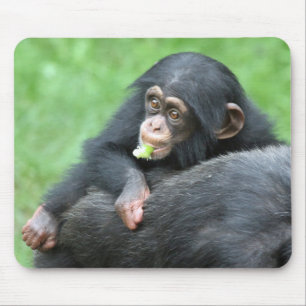 Schimpanse 005 mousepad