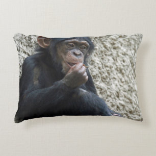 Schimpanse 013 dekokissen