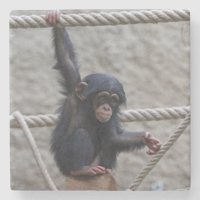 Schimpanse 017 steinuntersetzer (Vorderseite)