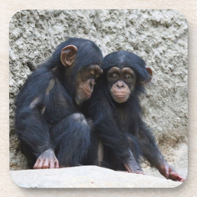 Schimpanse 022 getränkeuntersetzer (Vorderseite)