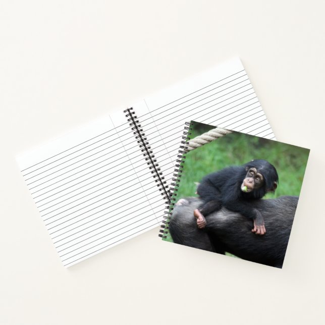 Schimpanse 032 notizbuch (Innenseite)