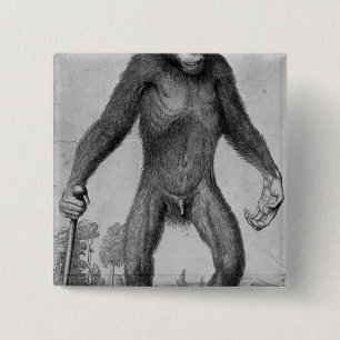 Schimpanse, 1699 button
