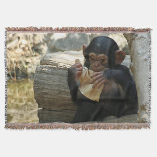 Schimpanse_2015_0101 Decke