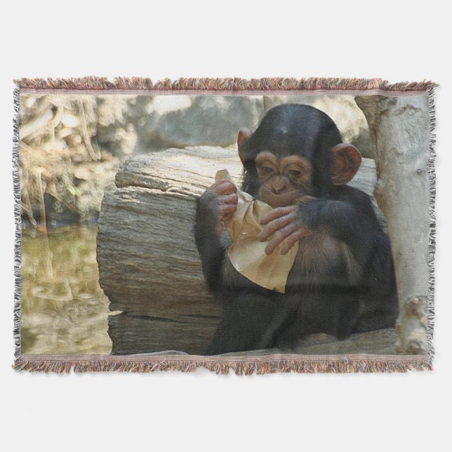 Schimpanse_2015_0101 Decke (Vorderseite)