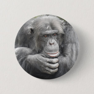 Schimpanse Button