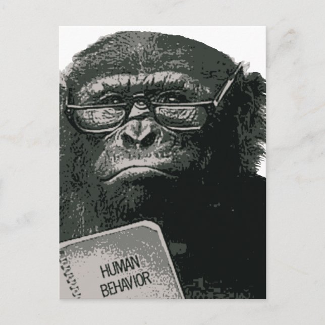 Schimpanse liest postkarte (Vorderseite)