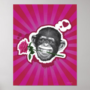 Schimpanse mit einer Rose in seinem Mund Poster