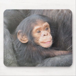 Schimpanse Mousepad