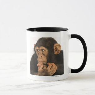 Schimpanse (Pantroglodytes). Junges playfull 2 Tasse