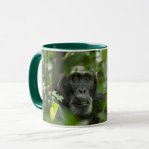 Schimpanse versteckt unter Vegetation Tasse