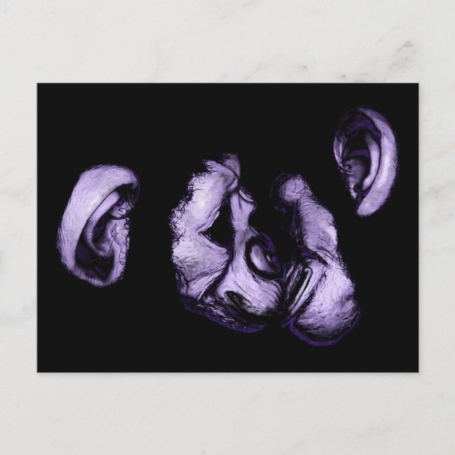 Schimpansen küssen postkarte (Vorderseite)