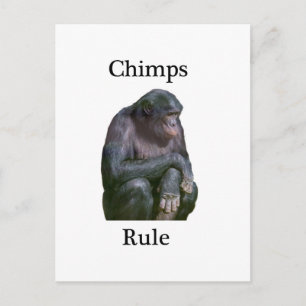 Schimpansenregel Postkarte