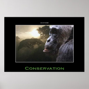 Schimpanzee CONSERVATION Art Poster