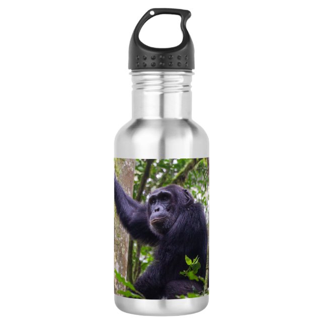 Schimpanzenflasche Edelstahlflasche (Vorderseite)
