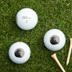 Schimppanzee 013 golfball