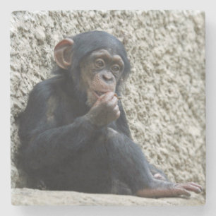 Schimppanzee 013 steinuntersetzer