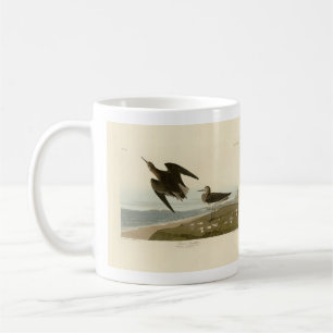 Schinzs Sandpiper von Audubons Vögeln Amerikas Kaffeetasse