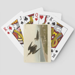 Schinzs Sandpiper von Audubons Vögeln Amerikas Spielkarten