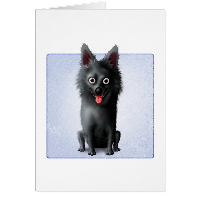 Schipperke (Vorne)