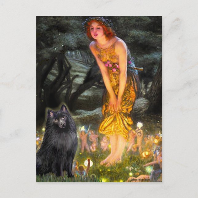 Schipperke 2 - Mitte Eve Postkarte (Vorderseite)