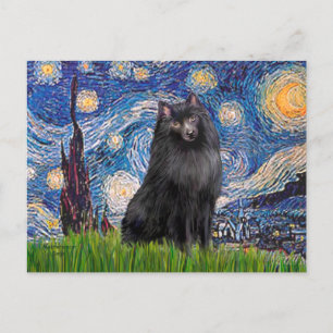 Schipperke 2 - Sternennacht Postkarte