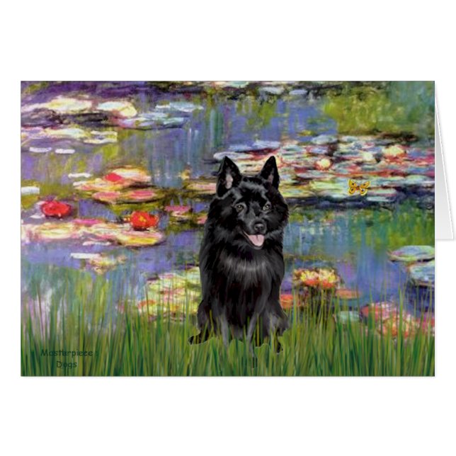 Schipperke 4 - Lilies 2 (Vorderseite (Horizontal))